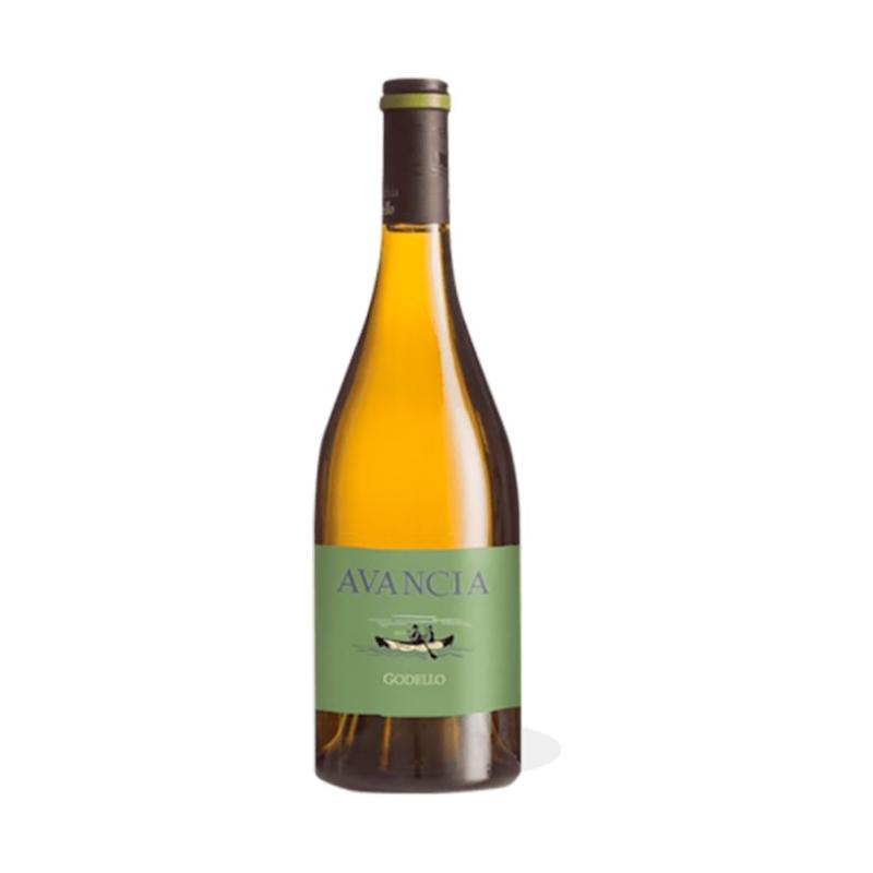 Avancia Godello 2023 - En Copa de Balón